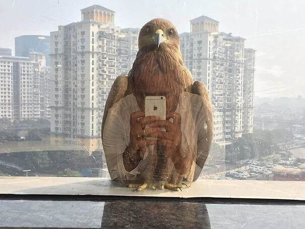“But First, Let Me Take a Selfie”