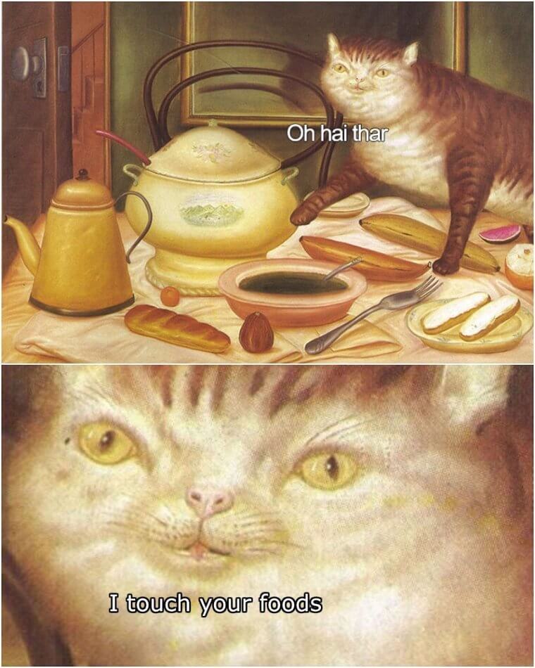 Cats Will Be Cats