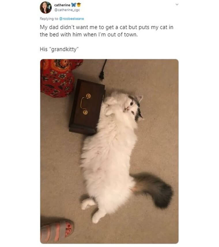 This Dad Didn’t Want His Daughter To Have A Cat, Now He’s Sleeping With It