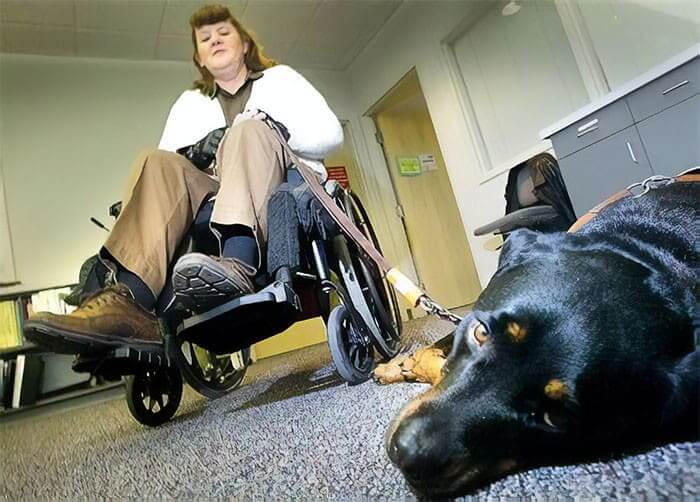 Faith Called 9-1-1 After Her Owner Had A Seizure
