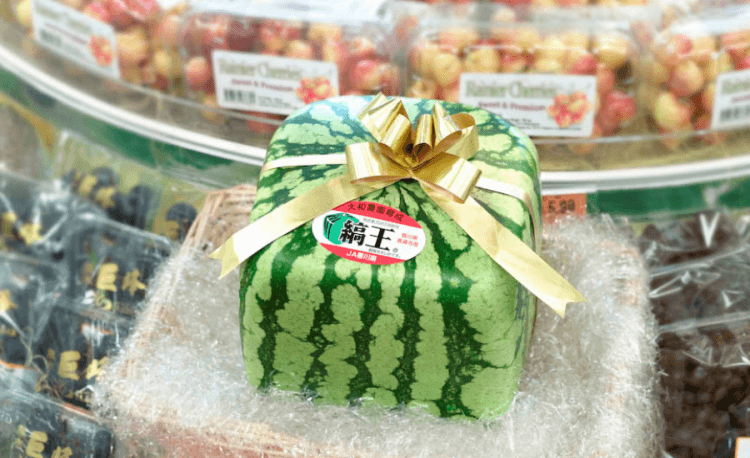 Square Watermelons For Easier Stacking