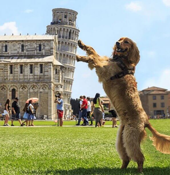 Someone Worthy Holding The Leaning Tower of Pisa