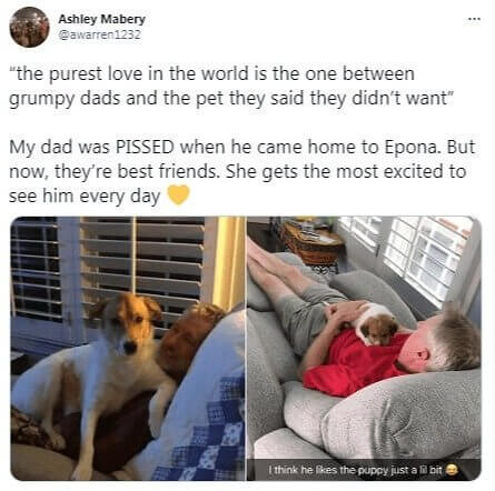 Dad May Have Been Pissed About The Dog, But Now It’s Couch Cuddles All The Way