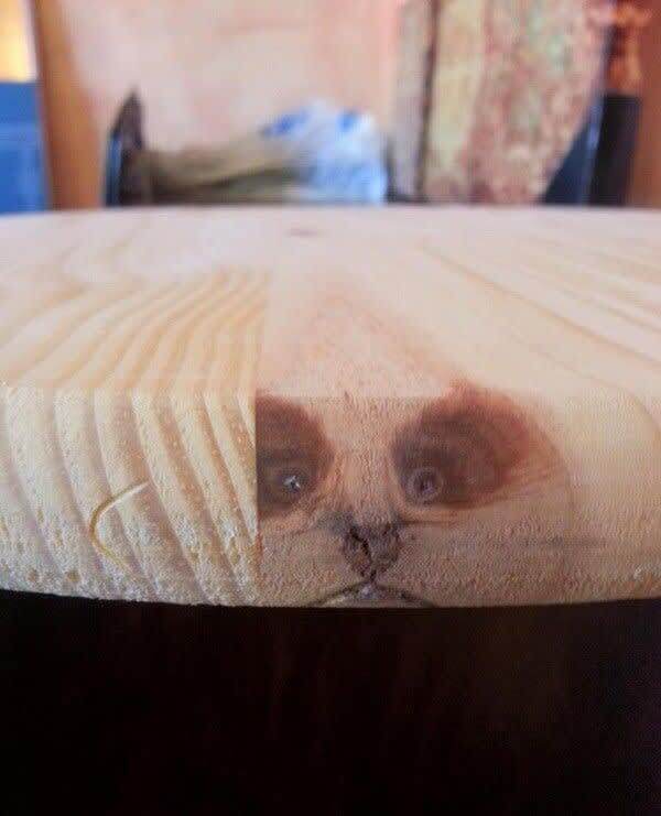 The Dog Is Imprinted Into The Table