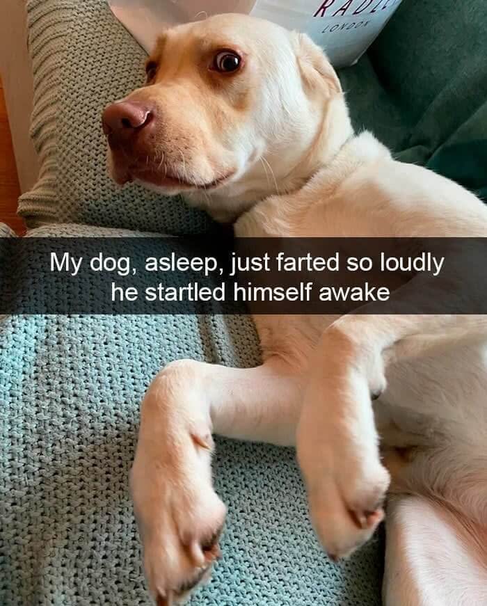 "It Wasn't Me!"