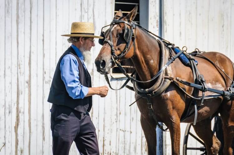 What Does Amish Mean?