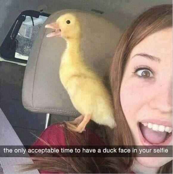 The Only Acceptable Duck Face in a Picture