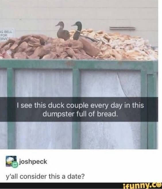 The Perfect Duck Date