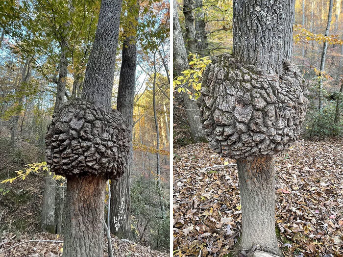 The Camoflage Isn't Working