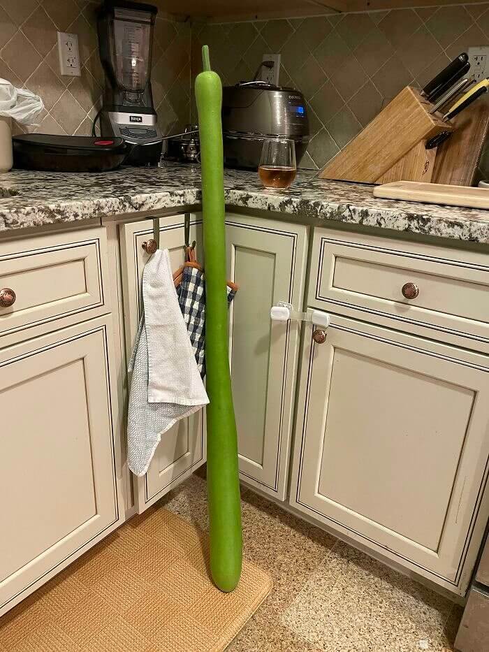 The Neighbor Strikes Again
