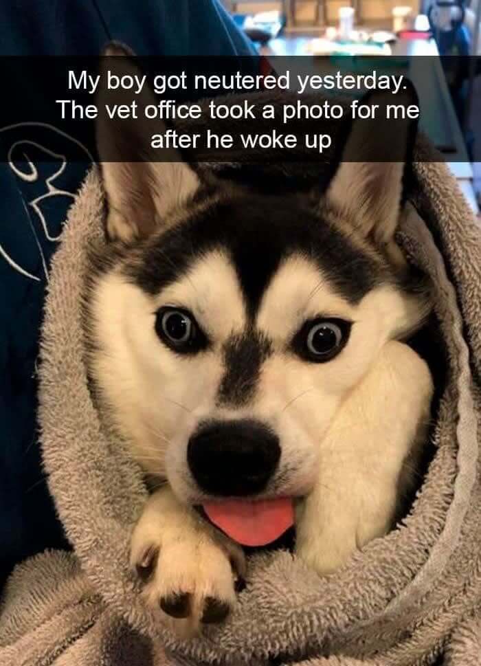 "What Just Happened"