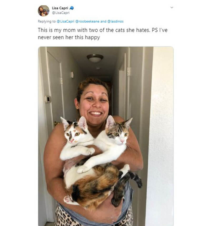 Mom Loves Cuddling The Cats She Says She "Hates"