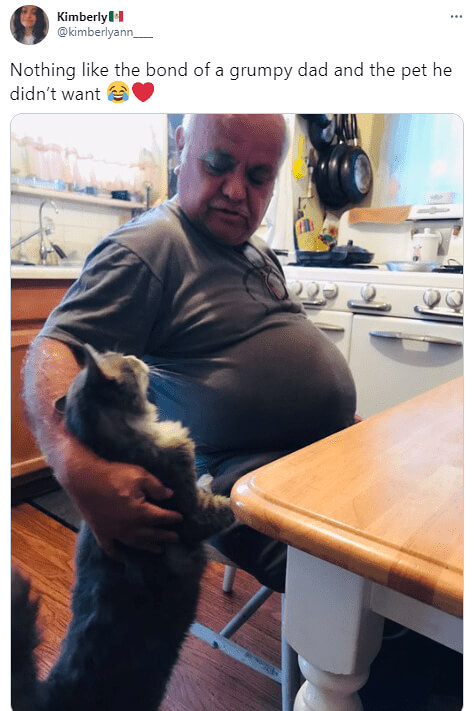 When “No” Cat Went To The Cat Joining This Dad For Dinner