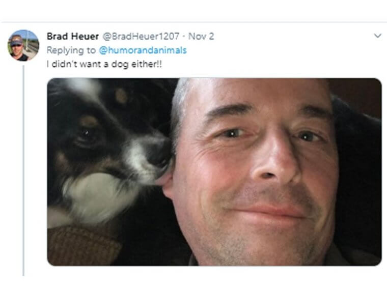 Dad Didn’t Want A Dog And Now He Loves The Dog Nibbling His Ear