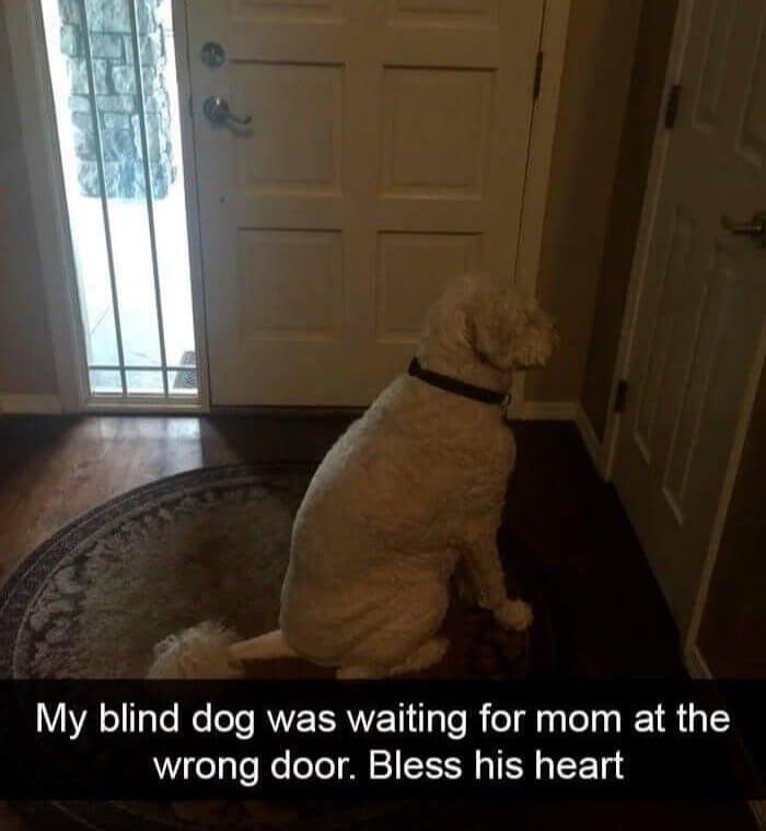 He Tried His Best
