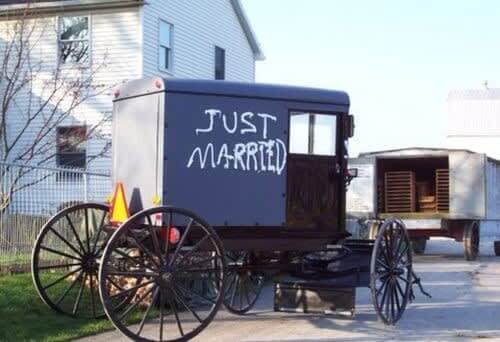 You'll Never Guess Where They Spend Their Wedding Night