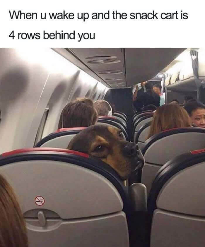 "Ooo Snacks"