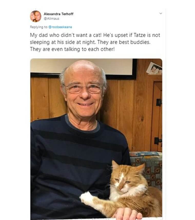 This Daughter’s Cat Is Now Her Dad’s Best Buddy