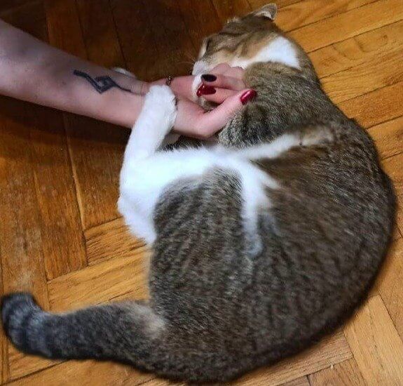 Biting Comes With a Whole Lot of Attitude