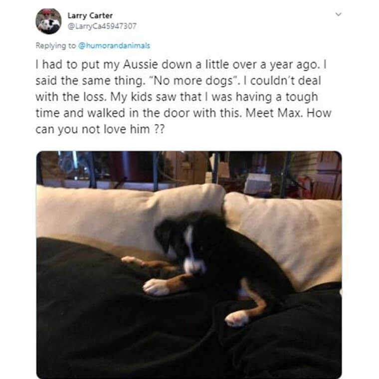 This Mom’s Kids Knew This Puppy Would Mend Her Broken Heart