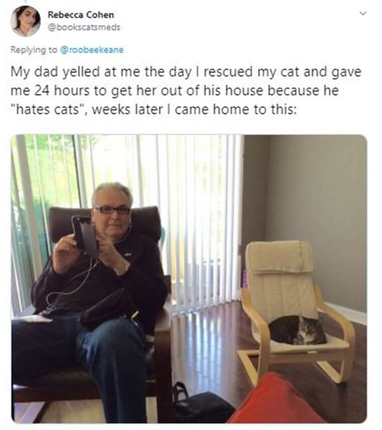 Dad Goes From “Hating Cats” To Lovingly Babysit Her Cat