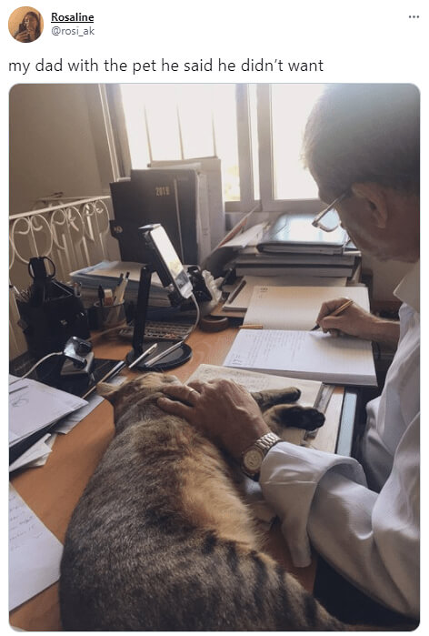 He Really Didn’t Want A Pet, Now Look At Him!