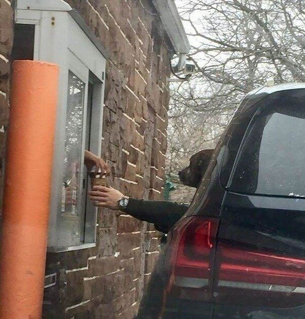 Special Customer