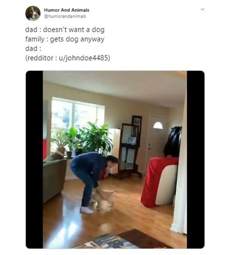 When Dad Thinks No One’s Watching He’s Happy To Show This Puppy Some Love