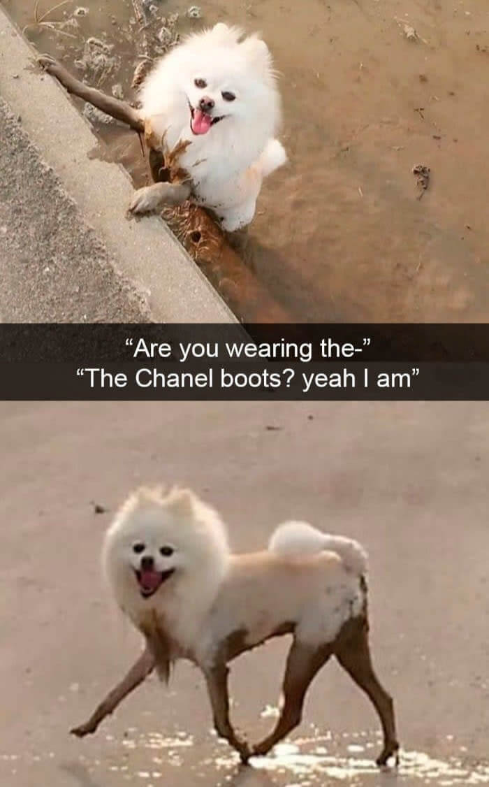 Now Work The Runway