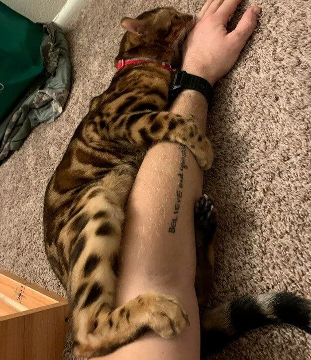 Those Leg and Arm Attacks Are Actually Playful