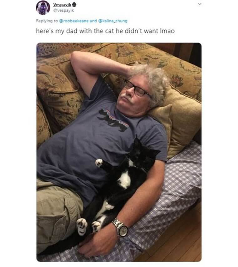 Dad Relaxes On The Couch With The Cat He Didn’t Want